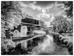 River Avon & Town Hall, Christchurch